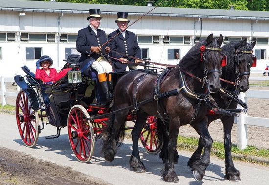 Koninklijke penning voor Rotterdamsche Manège