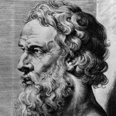 De grotten van Plato en van Peter Vandermeersch