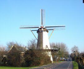 Ro_Charlois_4