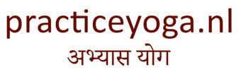 logo5