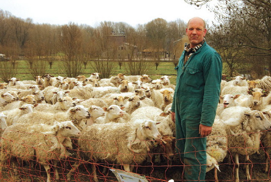 Dirk-Jan Oosthoek