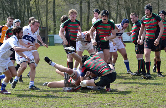 Rotterdamse Studenten Rugby Club gepromoveerd!