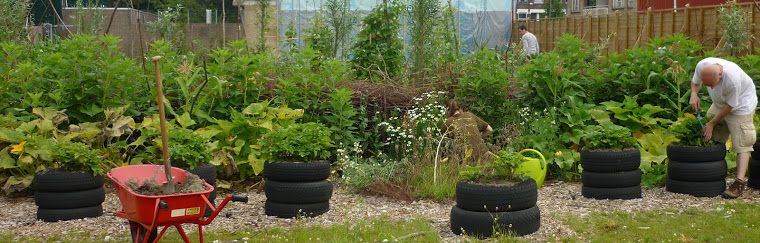 moestuinman