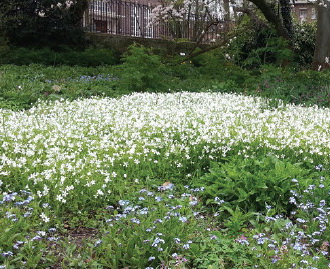 Eeuwfeest Botanische Tuin 1913-2013