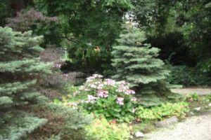 Wandeling – Kralingen met Arboretum