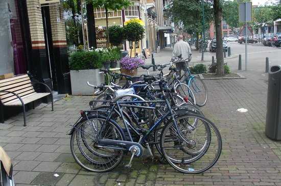 Weesfietsen fietsnietjes