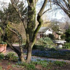 Eeuwfeest Botanische Tuin Kralingen 1913-2013