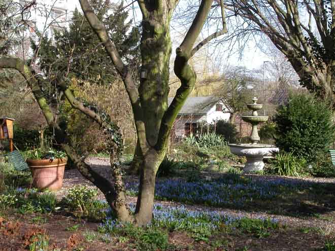 Eeuwfeest Botanische Tuin Kralingen 1913-2013