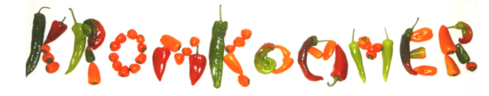 food01