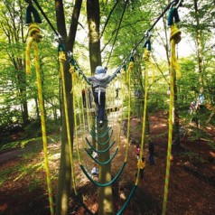 Slingeren als Tarzan in het Kralingse Bos?