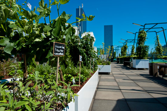 Verborgen Tuinen – groene ontdekkingsreis door Rotterdam