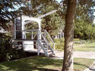 Ode aan de zakdoekjesboom in Trompenburg