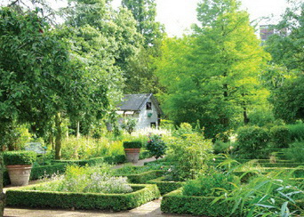 Bomen rondleiding Botanische Tuin