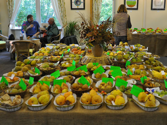 fruitshow
