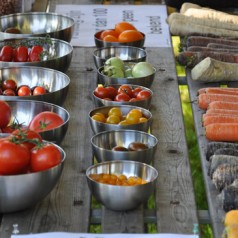 Najaars festival ‘De eetbare Tuin’ in Trompenburg