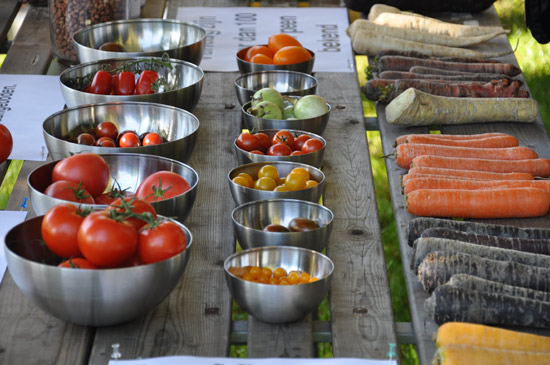 Najaars festival ‘De eetbare Tuin’ in Trompenburg