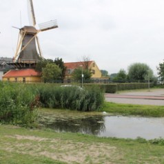 Petitie: ‘Geef Kralingse Bos terug aan de stad!’