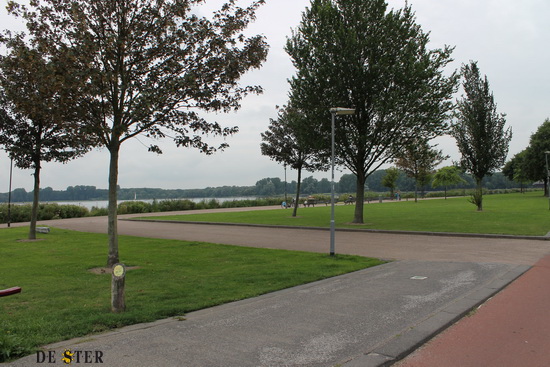 Kralingse plas