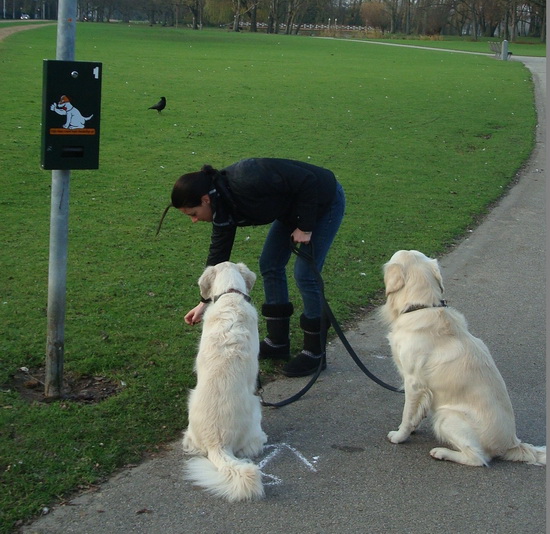 hondendispenser