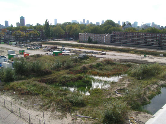 Koepeloverleg Nieuw Crooswijk druk bezocht