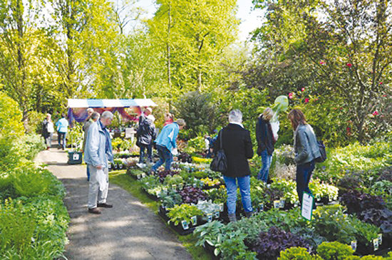 Gezocht: deelnemers voor ‘Midzomer in de Tuin’