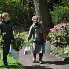Voorjaars-Plantendagen bij Trompenburg