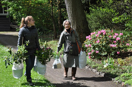 Voorjaars-Plantendagen bij Trompenburg