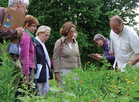 Botanische Tuin
