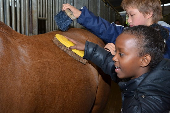200 Rotterdamse kinderen gaan Werken als een Paard