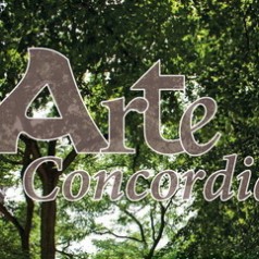 Unieke vlaggen op de Boompjes voor Arte Concordia