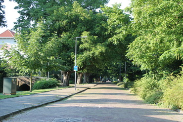 ‘Wandelwijk’ van start in Kralingen-West