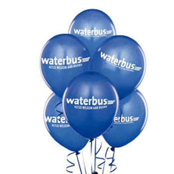 Waterbus lijn 19 één jaar!