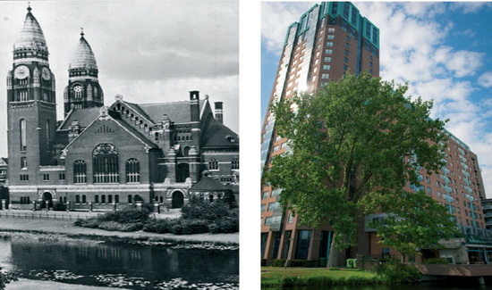 HOPPESTEYN 40 JAAR
