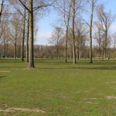 Bijeenkomst over het Kralingse Bos
