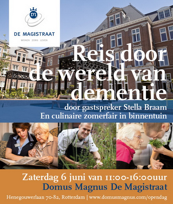 domusmafnus flyer