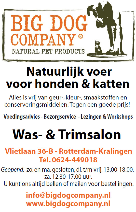 bigdog company
