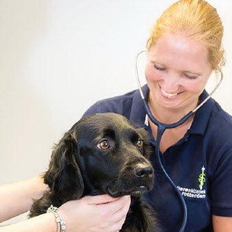 Open Dag Dierenkliniek Rotterdam