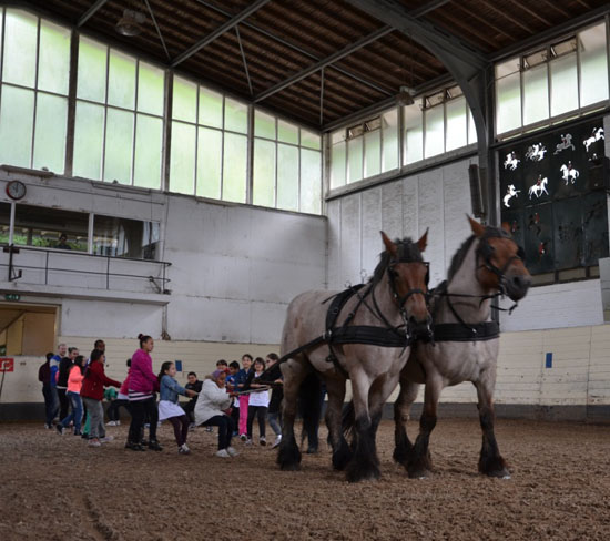 Kinderen Vakantieschool maken kennis met paardensport