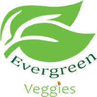 logo evergreen