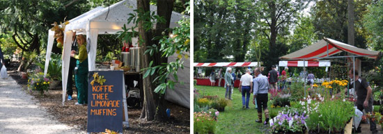 Najaarsfestival-oogstmarkt-030