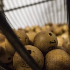 55-Plus activiteiten juni 2017 in Kralingen-Crooswijk