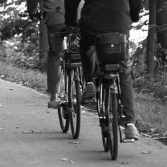 Glow-in-the-dark fietspad in het Kralingse Bos