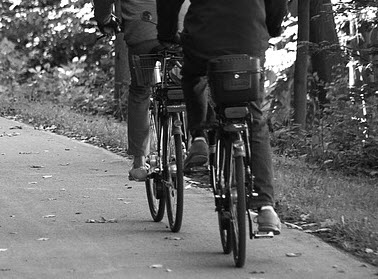 Glow-in-the-dark fietspad in het Kralingse Bos