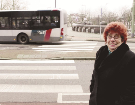 Zebrapad bij de Noorderbrug