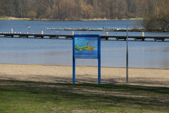 Rotterdam gaat waterplanten maaien in Kralingse Plas