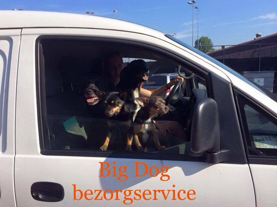 Big dog company bezorg service