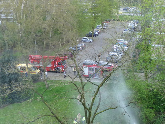 Kat na 4 dagen in boom gered