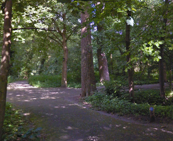 Vat tot ontploffing gebracht in Kralingse Bos