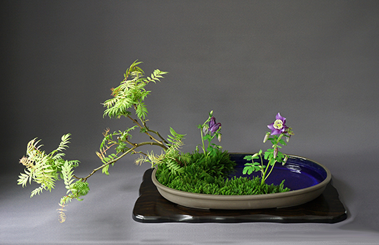 ikebana02