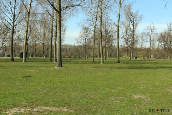 Politie arresteert verdachte zedenmisdrijven Kralingse Bos